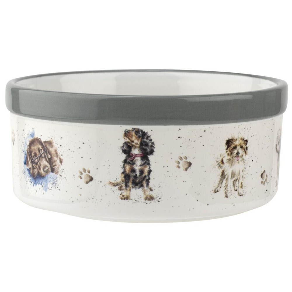 porcelain dog bowls